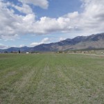 Runway looking north