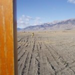 First cold Fall surveys