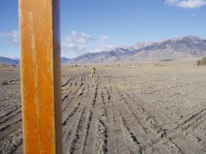 First cold Fall surveys