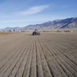Planting